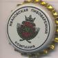 Beer cap Nr.2478: Ivanovo produced by Ivanovo Brewering Company/Ivanovo