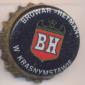 Beer cap Nr.5940: Krasnystaw produced by Browar Hetman/Krasnymstawie