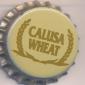 Beer cap Nr.8456: Calusa Wheat produced by Ybor City Brewing Company/Ybor City