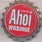 Beer cap Nr.8884: Ahoi Wosinge produced by Meininger Privatbrauerei/Meiningen