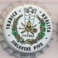 Beer cap Nr.10949: Jihlavske Pivo produced by Pivovar A Sodovkrna Jihlava as/Jihlava