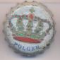 Beer cap Nr.12478: Polger produced by Browar Polger/Rybnik