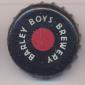 Beer cap Nr.13755: Barley Boys produced by Barley Boys Brewery/Omaha