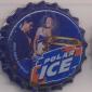 Beer cap Nr.14043: Polar Ice produced by Cerveceria Polar/Caracas