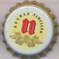 Beer cap Nr.15260:  produced by Browar Ryan Namyslow/Namyslow