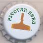 Beer cap Nr.16526: Primator Pivo produced by Pivovar Nachod/Nachod