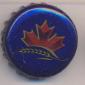 Beer cap Nr.19557: Blue produced by Labatt Brewing/Ontario