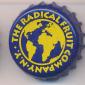 259: The Radical Fruitcompany N.Y./Spain