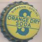 4506: Orange Dry Soda/USA
