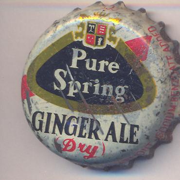 8085: Pure Spring Ginger Ale/Canada