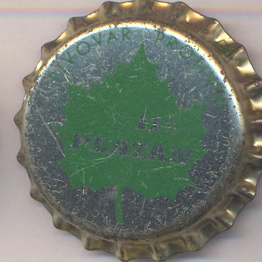 Beer cap Nr.3190: Platan 11% produced by Pivovar Protivin/Protivin