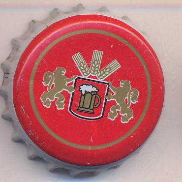 Beer cap Nr.22244: Protivin produced by Pivovar Protivin/Protivin