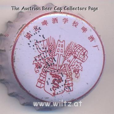 Beer cap Nr.12625: Hebei Bier produced by Hebei Pijou Xuexiao/Pijou