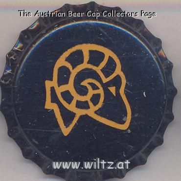 Beer cap Nr.18596: Big Horn Hefeweizen produced by Big Horn Brewing Company/Lakewood