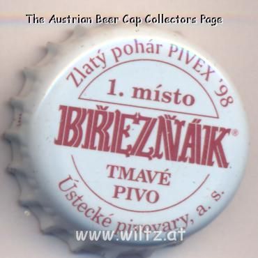 Beer cap Nr.19006: Breznak produced by Pivovar Velke Brezno/Velke Brezno
