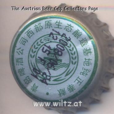 Beer cap Nr.19589: Tsingtao Beer produced by Tsingtao Brewery Co./Tsingtao