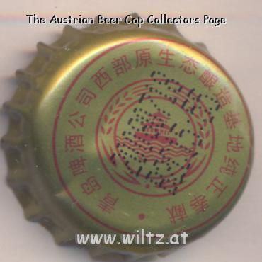 Beer cap Nr.19600: Tsingtao Beer produced by Tsingtao Brewery Co./Tsingtao