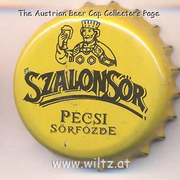 Beer cap Nr.24013: Szalon Sör produced by Pecsi Sörfozde RT/Pecs