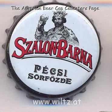 Beer cap Nr.24021: Szalon Barna produced by Pecsi Sörfozde RT/Pecs